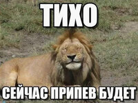 -мем-олицетворяет-вас-v0-x7bes3ivt6pf1.jpg