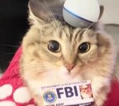 1765374015967.jpg 1765374015967.jpg