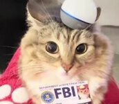 1765521880854.jpg 1765521880854.jpg