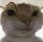 1765896579877.jpg 1765896579877.jpg