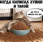 3056.jpg 3056.jpg