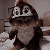 Nyl00