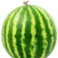 To4noNeByblik