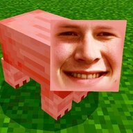 X_Swek_Swek_X