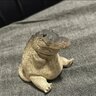SYSIKYS