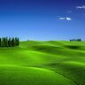 _zxc_t3plo_1336