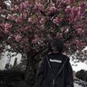 _Wh0reTry_