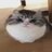 Fura_v_potoke