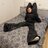 Zoha_NaPVE